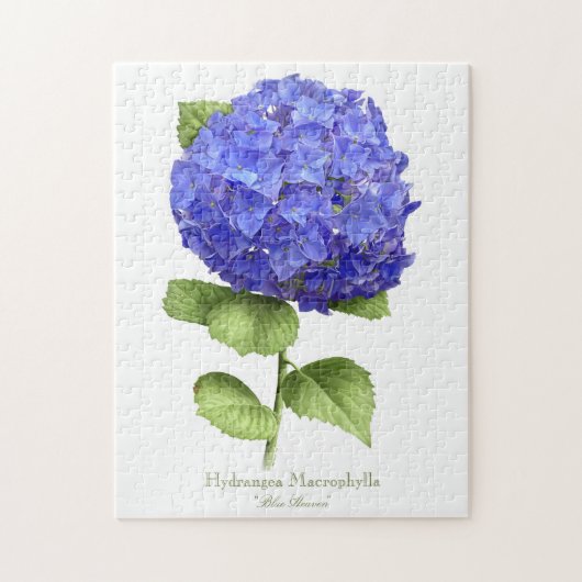 Blaue Hortensie Puzzle (Vertikal)