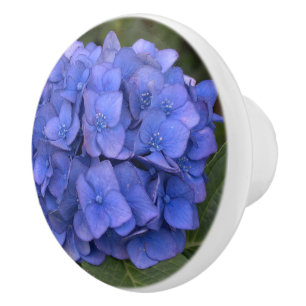 Blaue Hortensien-Lorbeer-Blumen Keramikknauf