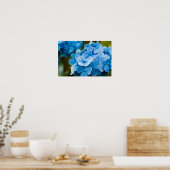 Blaue Hortensien Poster (Küche)