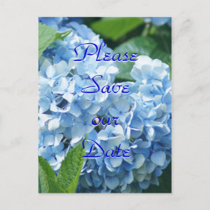 Blaue Hortensien Retten unser Date Postkarte - anp
