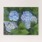 Blaue Hortensien, San Lorenzo Puzzle (Horizontal)