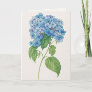 Blaue Hortensienblüte   Aquarell Karte
