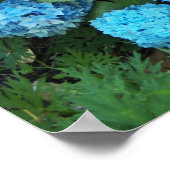 Blaue Hortensienblüten Florale Fotografie Poster (Ecke)