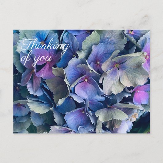 Blaue Hortensienblüten In Gedanken bei Dir Postkar Postkarte (Vorderseite)