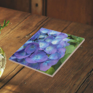 Blaue Hortensienblütenblätter Floral Fliese