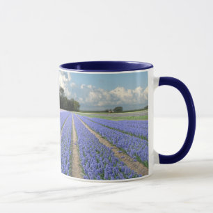 Blaue Hyazinthen auf einem Gebiet Holland Tasse