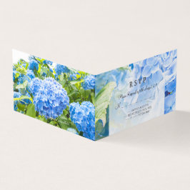 Blaue Hydrangea