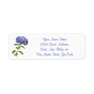 Blaue Hydrangea-Blume