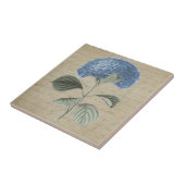Blaue Hydrangea-Blume auf Vintager Fliese (Seite)