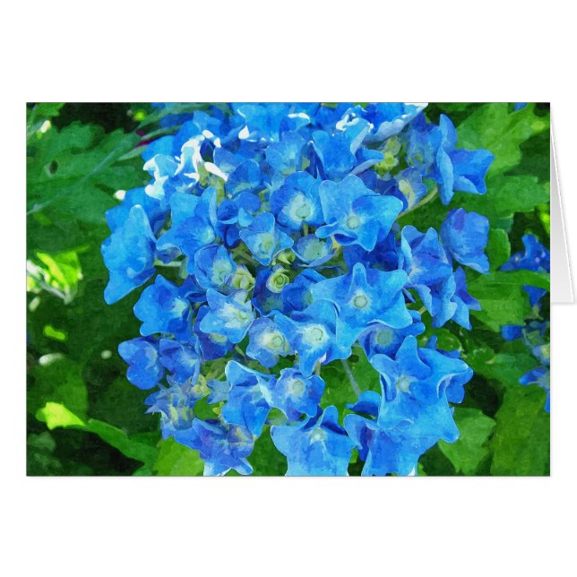 Blaue Hydrangea-Blume. Blumenfotografie. (Vorderseite (Horizontal))