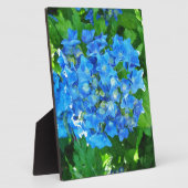 Blaue Hydrangea-Blume. Blumenfotografie. Fotoplatte (Seite)