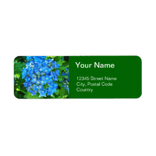 Blaue Hydrangea-Blume und ihre grünen Blätter