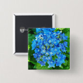 Blaue Hydrangea-Blume und ihre grünen Blätter Button (Vorne & Hinten)