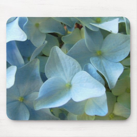Blaue Hydrangea-Blumen-BlumenBlumen-Foto Mousepad (Vorne)