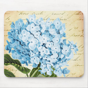 Blaue Hydrangea-Blumen-Vintages botanisches Mousepad