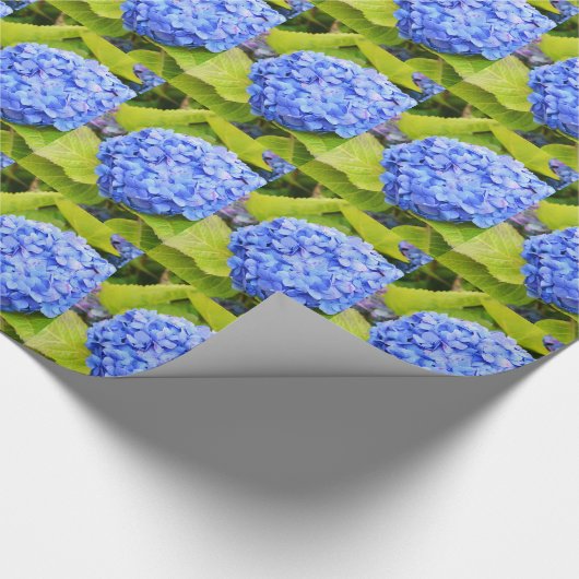 Blaue Hydrangea Geschenkpapier (Ecke)