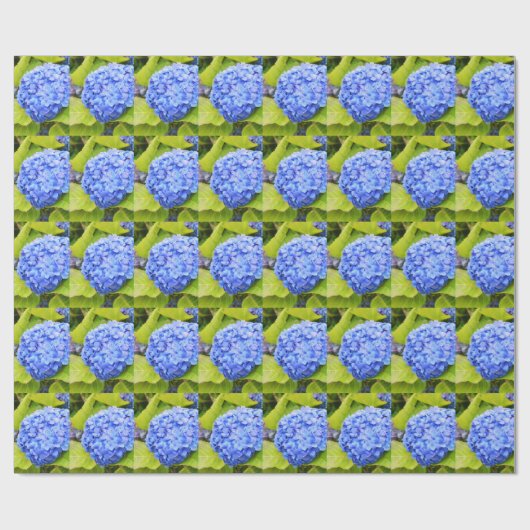 Blaue Hydrangea Geschenkpapier (Flach)