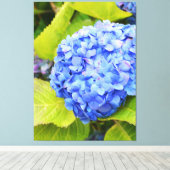 Blaue Hydrangea Leinwanddruck (Insitu (Holzboden))