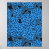 Blaue Hydrangea Poster (Vorne)