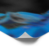 Blaue Hydrangea Poster (Ecke)