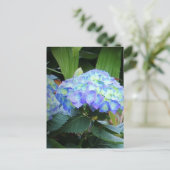 Blaue Hydrangeas-Blume Blumenfotografie Postkarte (Stehend Vorderseite)