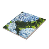 Blaue Hydrangeas in der Sonne Fliese (Seite)