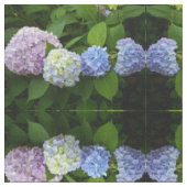 Blaue Hydrangeas, rosa Hydrangeas, lila Hydrangea Stoff (Nahaufnahme)