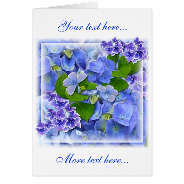 Blaue Hydrangeas und Schmetterlinge (Vorne)