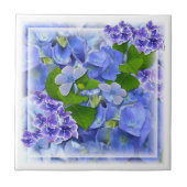 Blaue Hydrangeas und Schmetterlinge Fliese (Vorderseite)