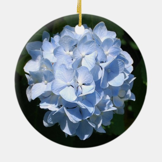 Blaue Hydrangeaverzierung Keramik Ornament (Hinten)