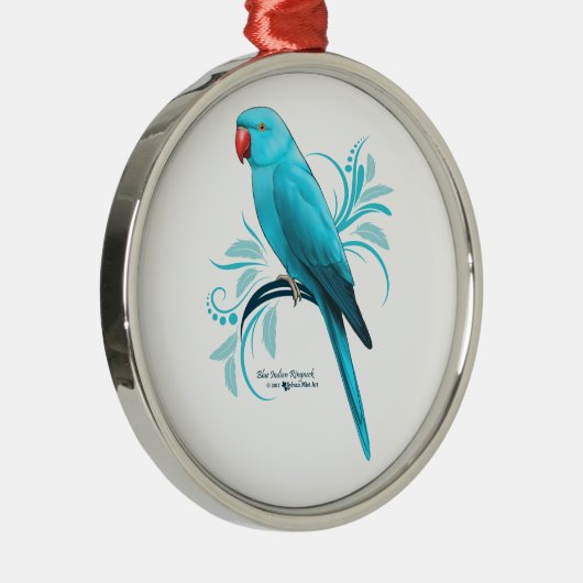 Blaue Indianerringel Silbernes Ornament (Rechts)