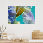 Blaue Iris, blaue Himmelskanzüge Poster (Küche)
