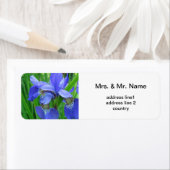 Blaue Iris-Blume (Insitu)