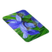 Blaue Iris-Blume Magnet (Rechte Seite)