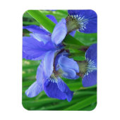Blaue Iris-Blume Magnet (Vertikal)
