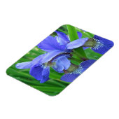 Blaue Iris-Blume Magnet (Linke Seite)