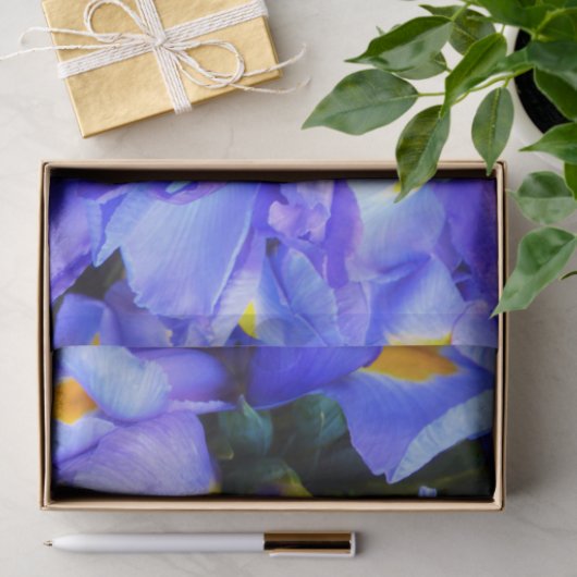 Blaue Iris-Blume Seidenpapier (Geschenk)