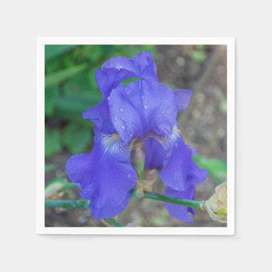 Blaue Iris-Blume Serviette (Vorderseite)