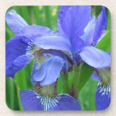 Blaue Iris-Blume Untersetzer (Vorderseite)