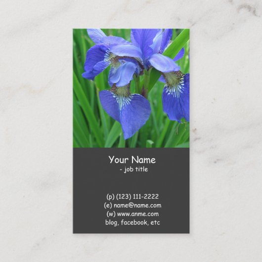 Blaue Iris-Blume Visitenkarte (Vorderseite)