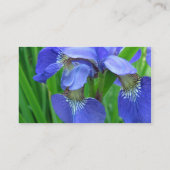 Blaue Iris-Blume Visitenkarte (Rückseite)