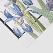 Blaue Iris-Blumen Redoute Blumenseidenpapier Seidenpapier (Detail)