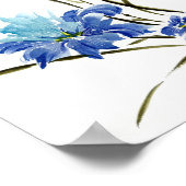 Blaue Iris Harmonie Poster (Ecke)