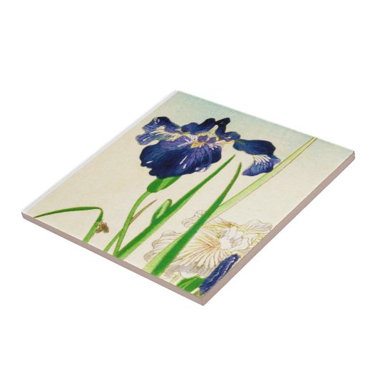 Blaue Iris - japanischer Aquarelldruck Fliese (Seite)