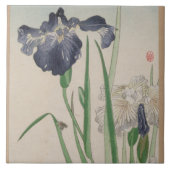 Blaue Iris-Keramik-Fliesen Fliese (Vorderseite)