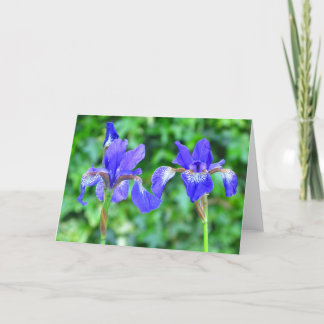 Blaue Iris - leere Gruß-Karte Karte