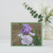 Blaue Iris-Postkarte. Postkarte (Stehend Vorderseite)