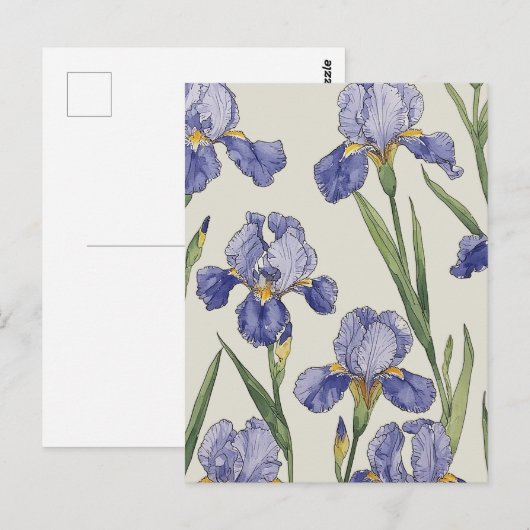 Blaue Irisblüten Postkarte (Vorne/Hinten)