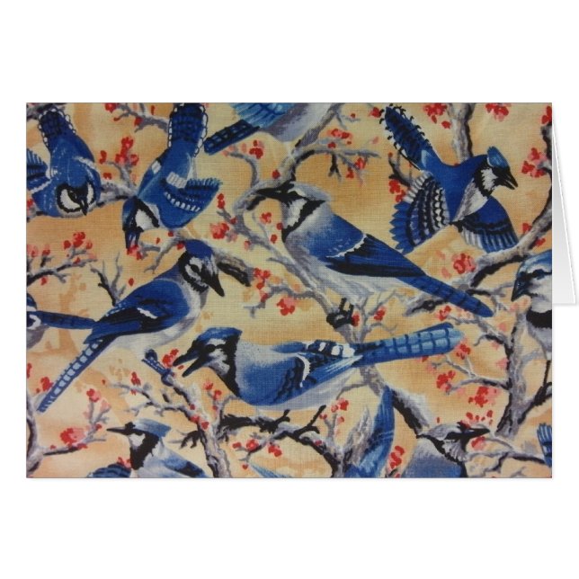 Blaue Jay (Vorderseite (Horizontal))