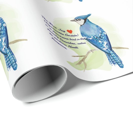 Blaue Jay-Aquarellmalerei Geschenkpapier (Rolleneckpunkt)